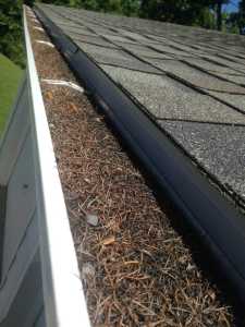 gutter cleaning